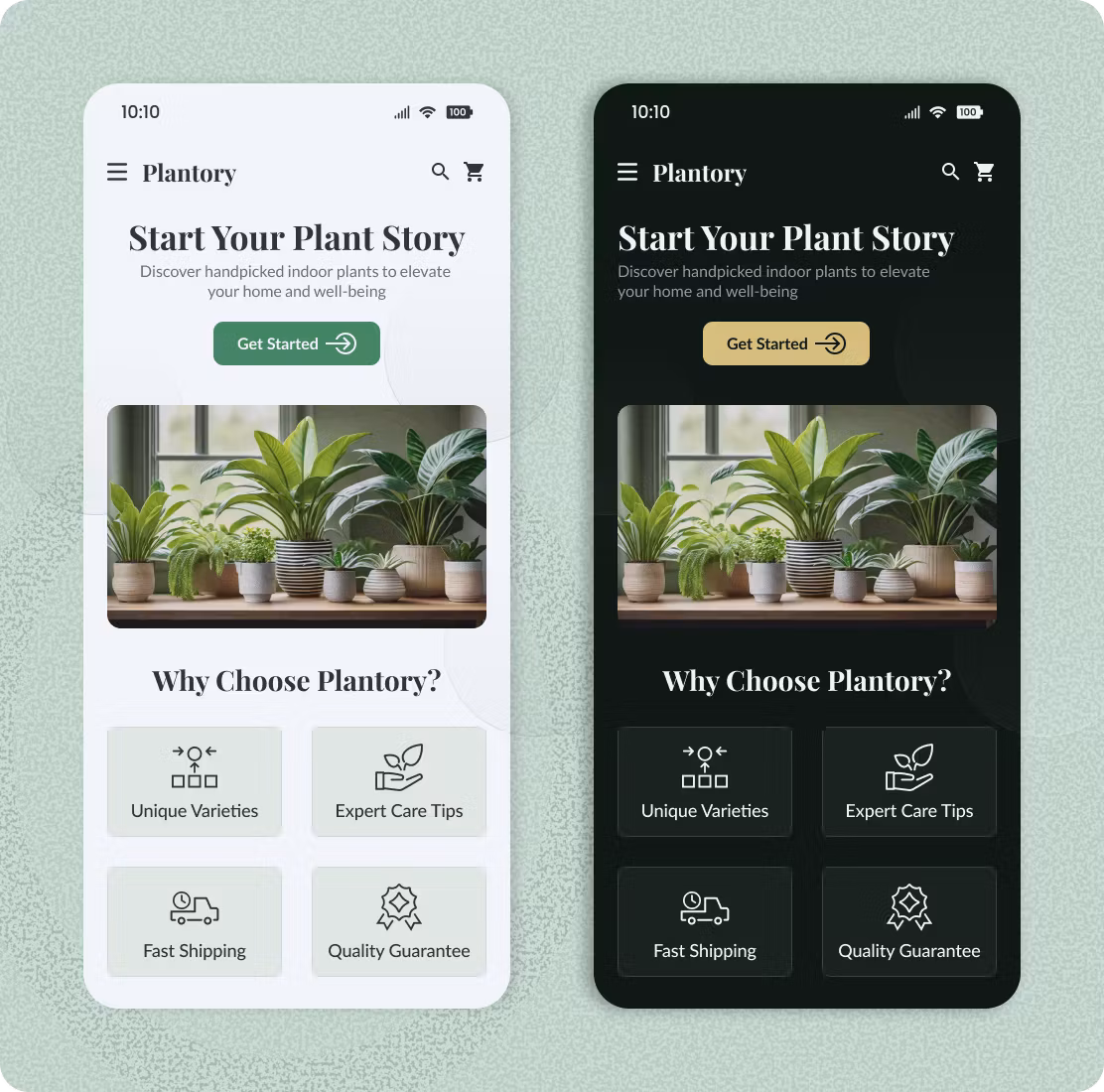 Lifestyle e-commerce Shopify development welcome screen with calming plant-themed hero section