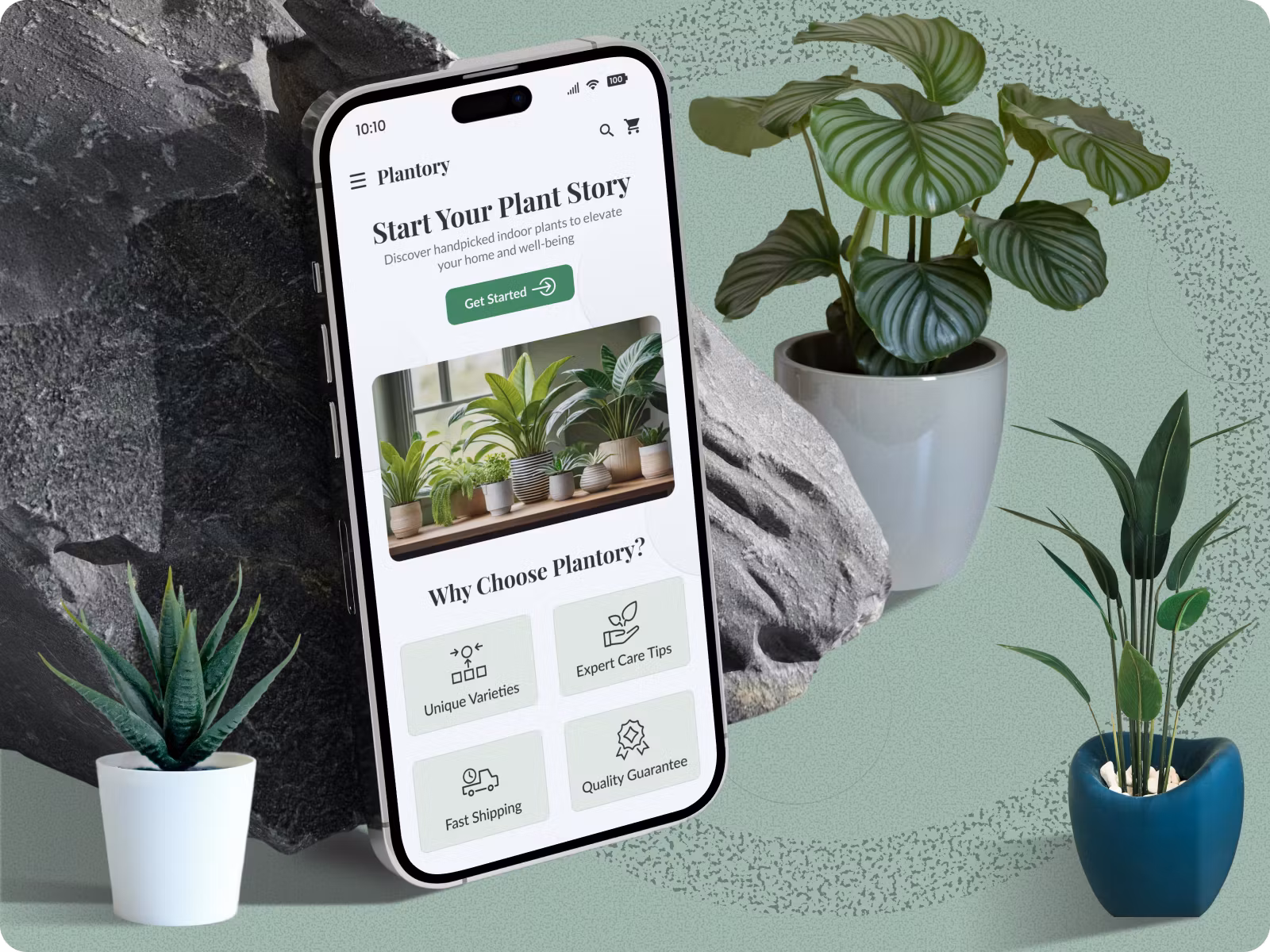 Lifestyle E-commerce Shopify Development