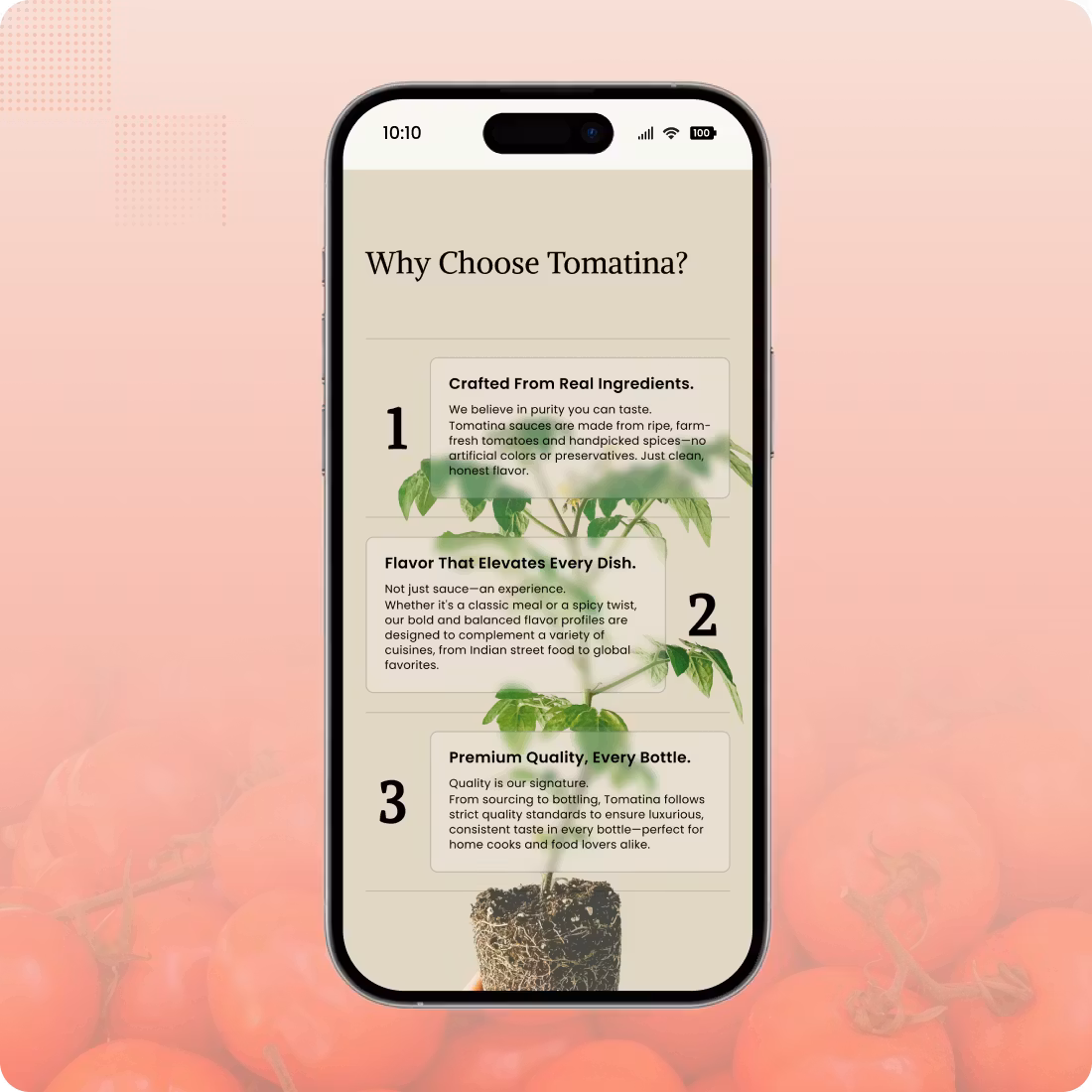 Gourmet food product detail page with pairing suggestions and Shopify development features